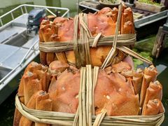 -蟹村草堂·苏式园林人文农家·大闸蟹