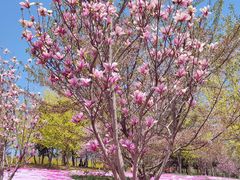 -乐悠游亲子游泳俱乐部