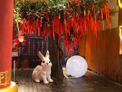 -青岛东方影都融创电影世界