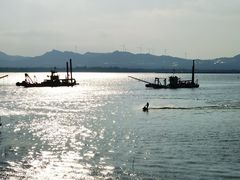 -山城家常菜铁锅炖鱼