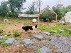 -Walker萌宠露营(大明骑士驿站店)