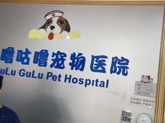 -咕噜咕噜宠物医院·CT·肿瘤科·骨科(前海院)