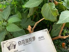 -广州神农草堂中医药博物馆