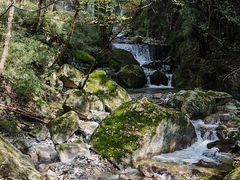 -牛背梁国家森林公园