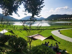 -风云岭森林公园