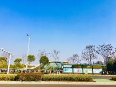 -祥记·苏帮菜·松鼠桂鱼(湖畔天城店)