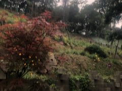 -汇雅温泉