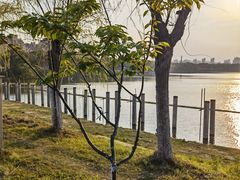 -艾溪湖湿地公园
