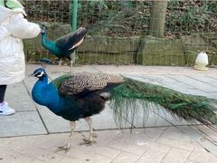 -杭州野生动物世界