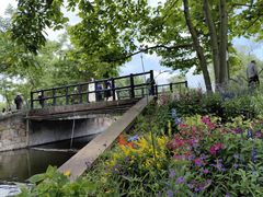 -上海共青森林公园