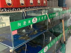 -阳澄湖大闸蟹·琼灵阁牌品牌连锁(吴中总店)