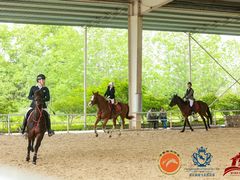 -重庆和泰马术俱乐部