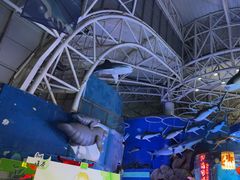 -烟台海昌鲸鲨海洋公园