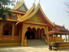-西双版纳原始森林公园