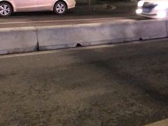 -东吴霸王兔(松青路店)
