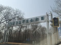 -秦皇岛野生动物园