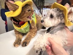 -瑞虹新天地月亮湾