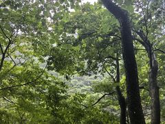 -浙北大峡谷