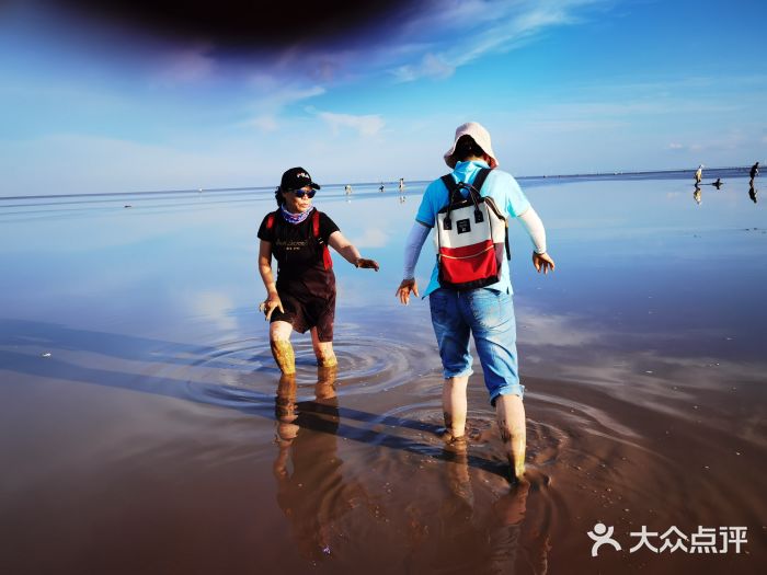 南汇嘴观海公园图片