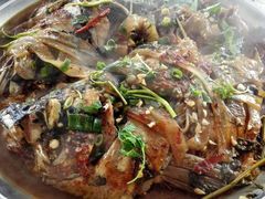 正宗芭蒿炖江鱼-庆岭迎宾园正宗活鱼馆