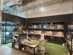 -FAIRYLAND龙族星球主题餐厅(凯丹广场店)