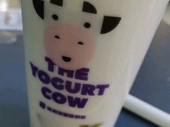 -一只酸奶牛(八一路店)