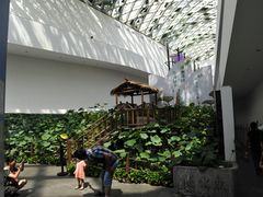 -中国湿地博物馆