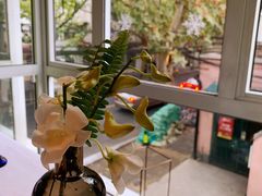 -蝶舍·MAISON PAPILLON