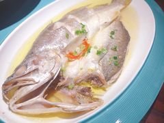 花雕醉黄鱼-寻宝记绍兴菜(鲁迅路店)