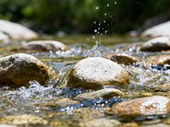 -洛阳白云山景区