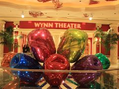 -拉斯维加斯永利酒店