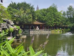 -顺峰山公园