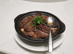 -丁老爷子苏香圆