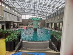 -和园景逸大酒店朗月汤泉