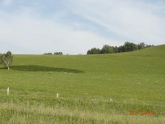 -塞罕坝国家级自然保护区