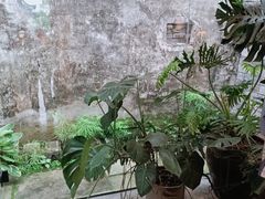 -东钱湖小普陀景区