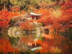 -醍醐寺