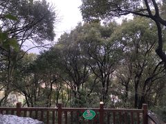 -上海佘山国家森林公园天马山园