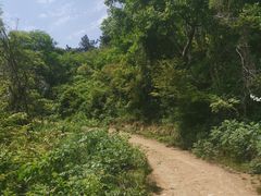 -青龙山国家森林公园