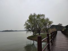 -苏州太湖国家湿地公园