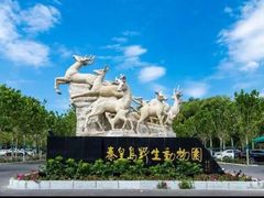 -秦皇岛野生动物园