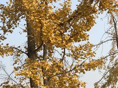 -白鹭湾湿地公园