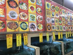 -鸿达渔港