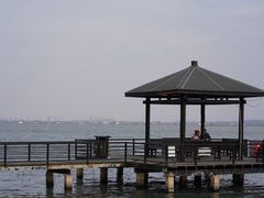 -莲花岛景区