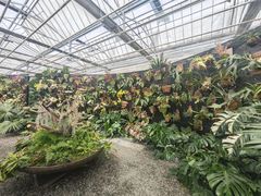 -上海鲜花港