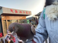 -茯茶镇