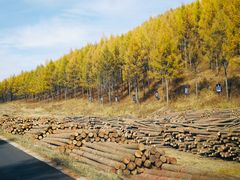 -塞罕坝国家级自然保护区