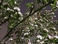 -焦亮烧烤海鲜(三原店)