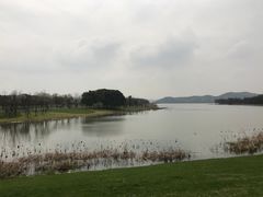 -东湖落雁景区