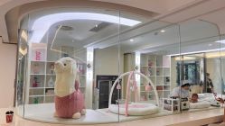 -宝生月子中心·私家园林式(龙华观澜店)